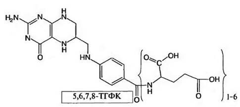 Вариация фолацина с разным количеством глутаминовой кислоты (вместо фолиевой кислоты ТГФК). Изображение взято из интернета