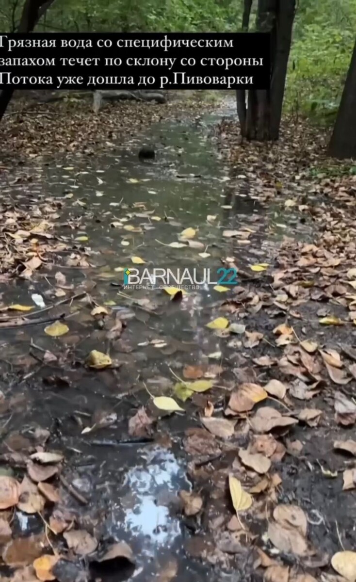   Вода в парке "Юбилейный". Источник: Barnaul 22
