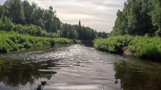 Ловля ХАРИУЗКА летом - Самая эффективная техника для малых водоемов