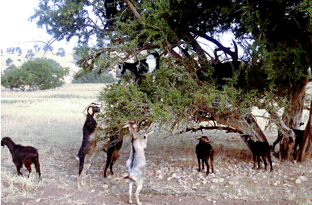 Снимок: fpress.gr