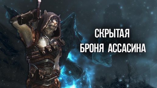 Skyrim СЕКРЕТ ОЛАВЫ НЕМОЩНОЙ Уникальная броня Ассасина