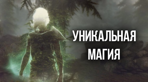 Skyrim УНИКАЛЬНОЕ ЗАКЛИНАНИЕ