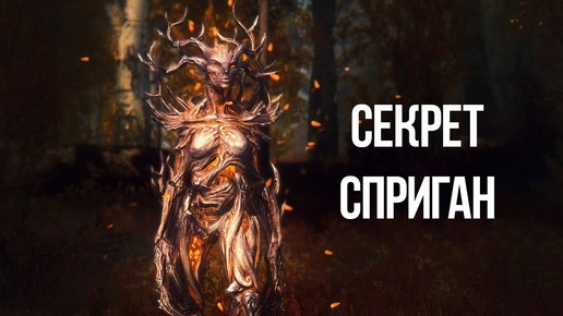 Skyrim Секреты Сприган   Самое Секретное Существо в Серии ТЕС