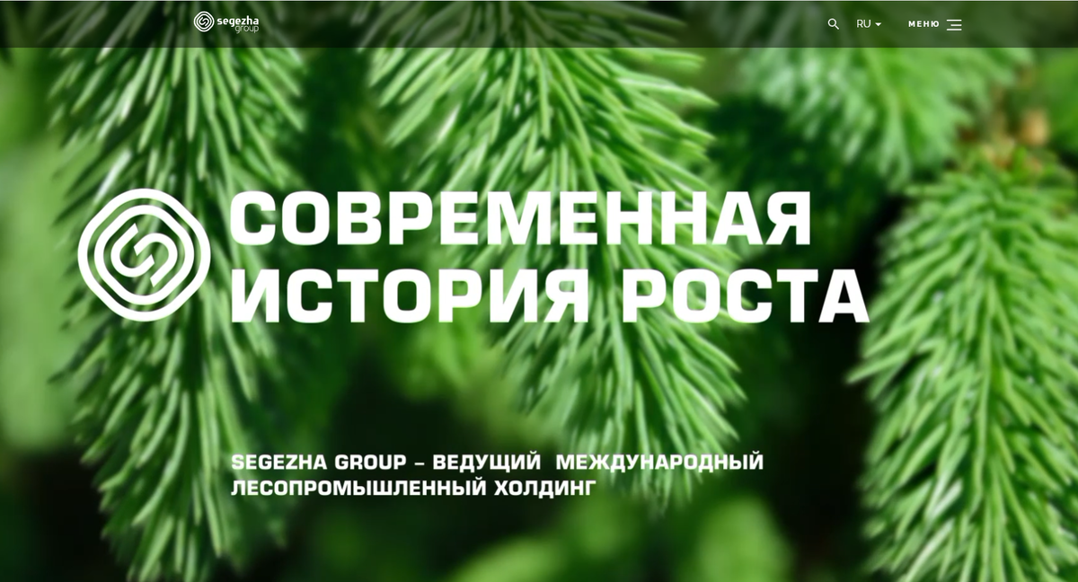 официальный сайт красив и заявляет https://segezha-group.com/