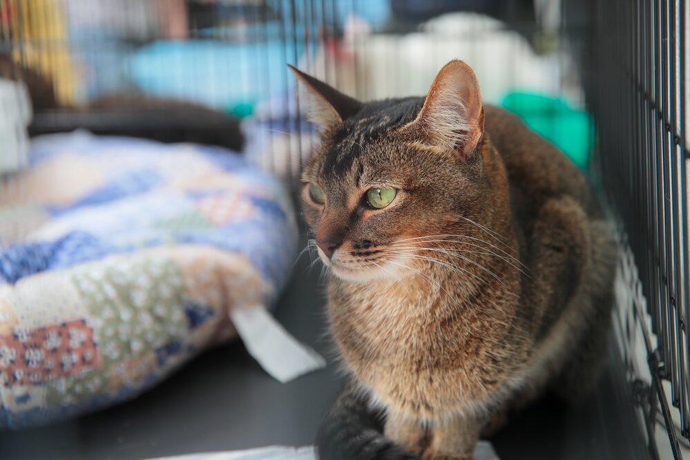 Фото АГН «Москва»