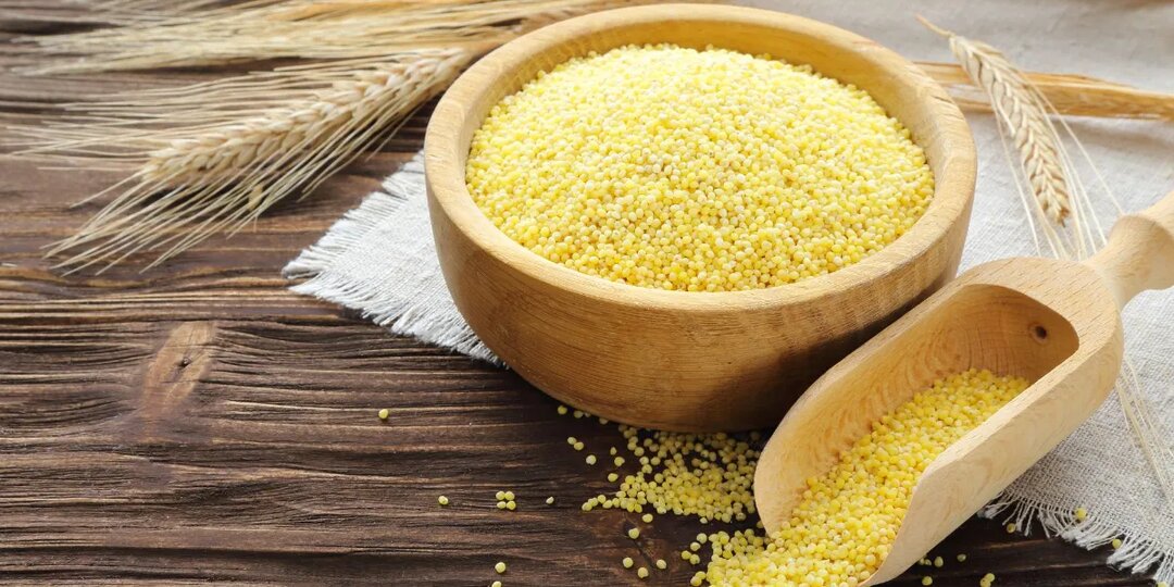 Пшено: польза и вред для здоровья человека