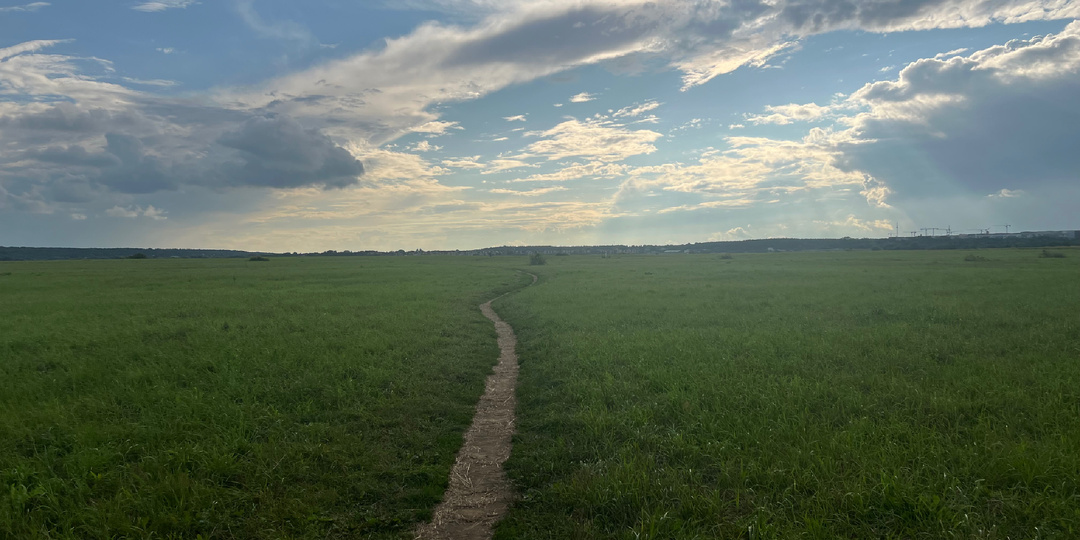 Лохин остров: нетронутый уголок природы в 5 км от Москвы. Почему ему удалось сохраниться?