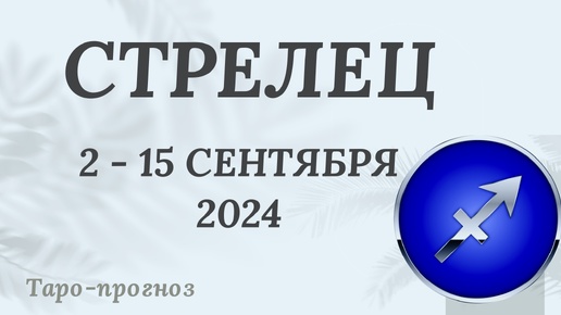 СТРЕЛЕЦ ♐️ 2-15 СЕНТЯБРЯ 2024 ТАРО ПРОГНОЗ на неделю. Настроение Финансы Личная жизнь Работа