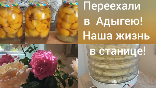 Живём в Адыгее/Сушим дыни и варим компот и варенье/ Наша повседневная жизнь на юге/