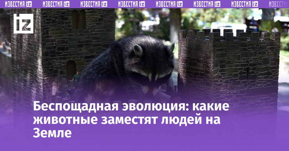 Фото: ИЗВЕСТИЯ/Александр Полегенько