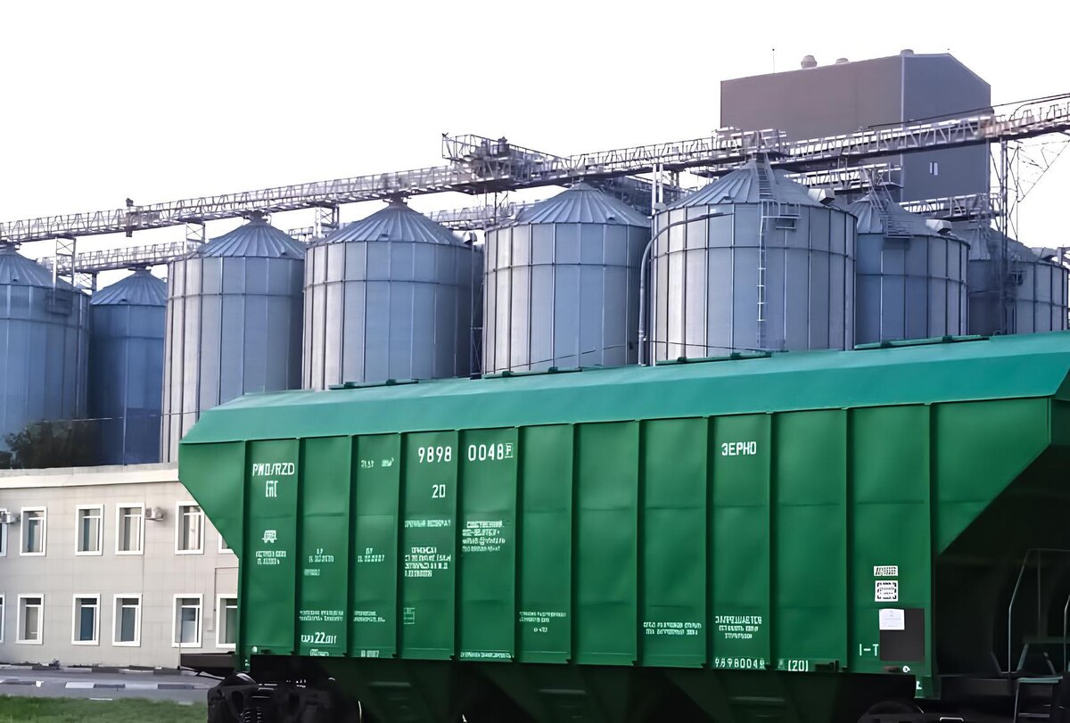 Фото: АПК Новости