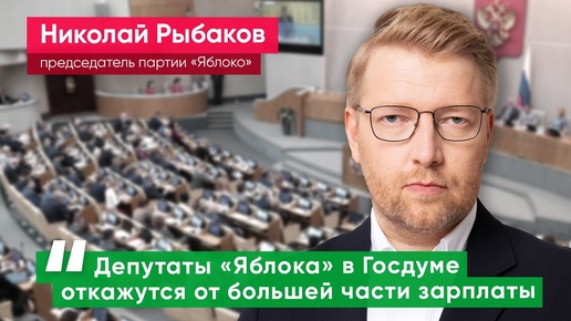 Николай Рыбаков: «Яблоко» откажется от части депутатской зарплаты в пользу детских домов