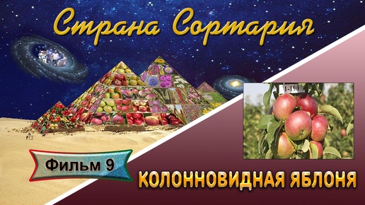 Страна Сортария Фильм 9 Колонновидная яблоня