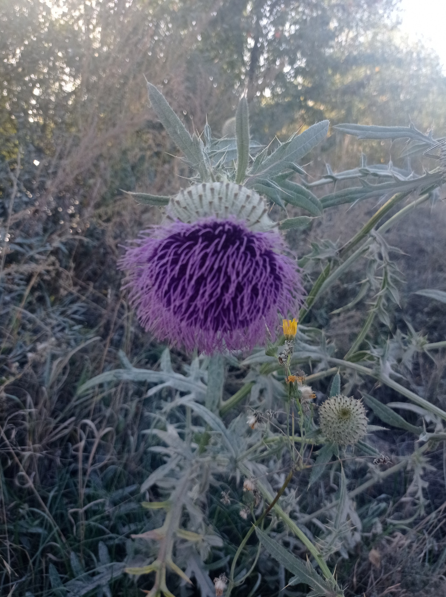 Фотография автора 