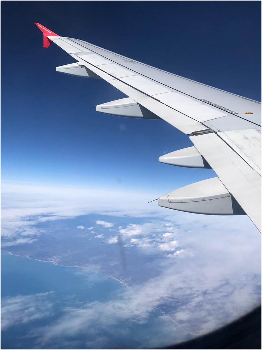 На консоли крыла лайнера виден ярко красный элемент конструкции - винглет. Хорошо видны контуры элементов управления самолетом - элеронов, интерцепторов (спойлеров), закрылков и предкрылков. Треугольные элементы задней комки  крыла - опорные конструкции закрылков в выпущенном состоянии на взлете и посадке.                              Фото Бобровкиной - Морковкиной.