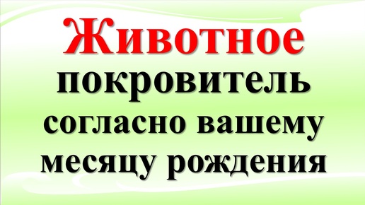 Скачать видео: Животное-покровитель по месяцу рождения: Символика, значение и как оно влияет на вашу жизнь