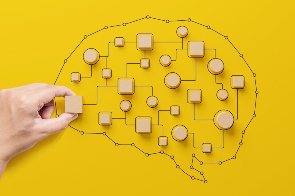 Когнитивная карта мозга. Изображение: Shutterstock.