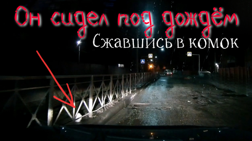 Котик сидел под дождём на обочине и ждал конца/его никто не замечал/ но тут мимо проезжали мы и заметили белое пятно возле забора!