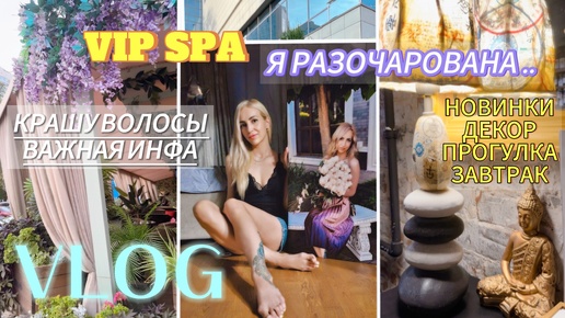 Download Video: VLOG/ ПОЛНОЕ РАЗОЧАРОВАНИЕ../ КРАШУ ВОЛОСЫ/ ОТДЫХ В VIP СПА / ВАЖНАЯ ИНФОРМАЦИЯ/ МОЙ ПОРТРЕТ/ НОВИНКИ ЛЕРУА/ ДЕКОР В ДОМ/ ЗАВТРАК / ПРОГУЛКА