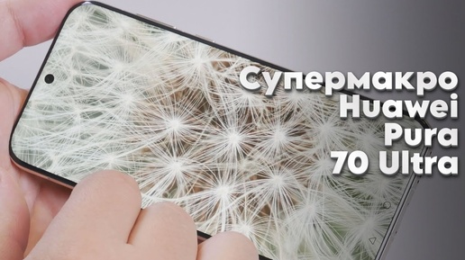 Макросъемка на HUAWEI Pura 70 Pro и 70 Ultra