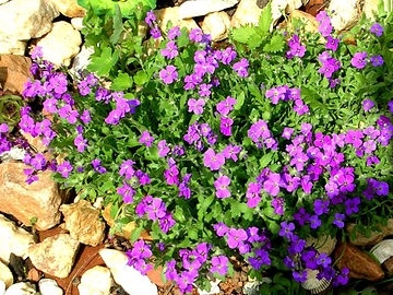 Фото автора канала