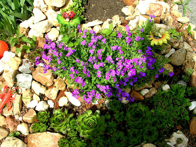 Фото автора канала.  К сожалению большое фото нет. 