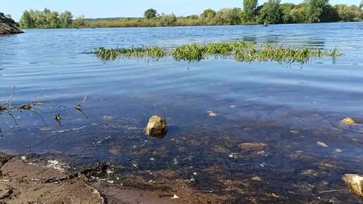 Красавица Кама у Храма Николая Чудотворца в поселке НИКОЛО- БЕРЕЗОВКА