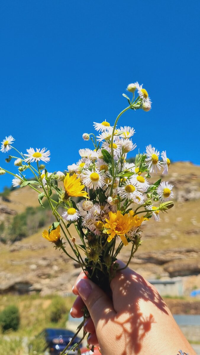 Фото автора. Теберда. Эльбрус. Август 2024