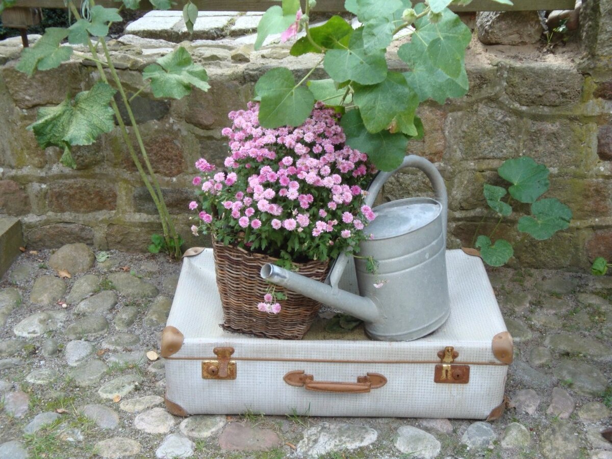 Красота же! Фото автора