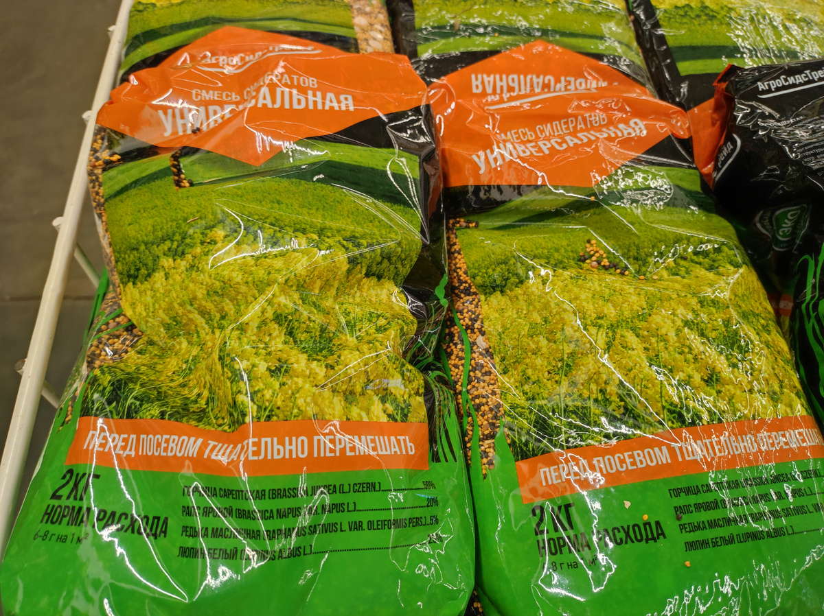 Фото автора, семена сидератов в продаже, сентябрь 2024 года