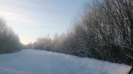 Поездка в Костромскую область, зимняя дорога, природа.