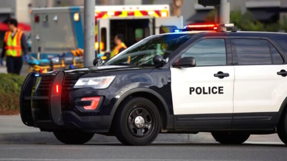    СМИ: в США произошла стрельба в школе, есть погибшие Анастасия Романова