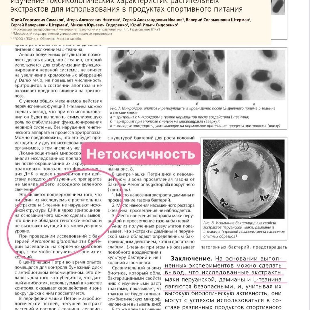 Исследования L-Теанина