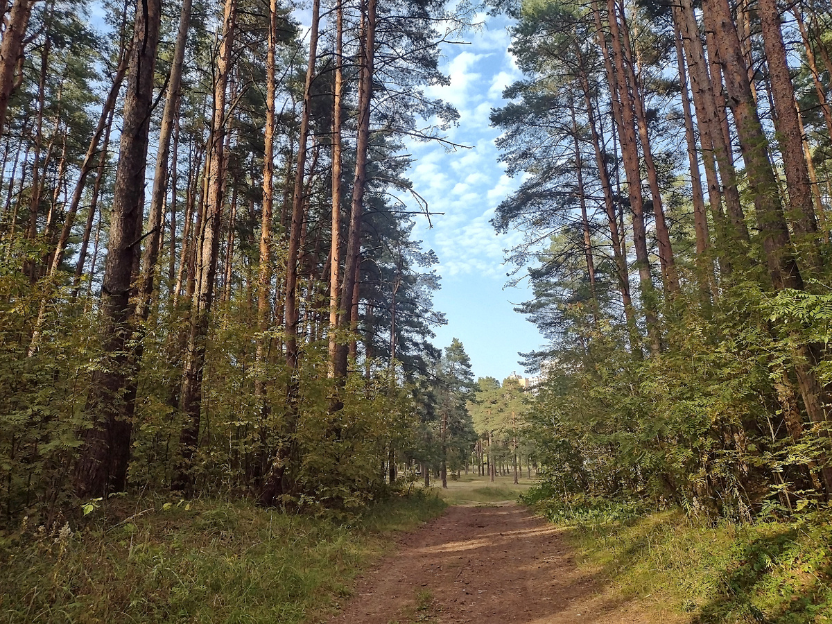 Первомайская роща