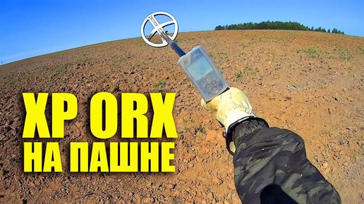 Что можно найти с металлоискателем XP ORX на пашне!