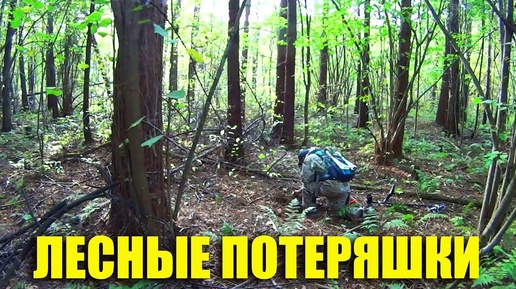 КТО ТО ПОТЕРЯЛ. А МЫ НАШЛИ 🤠👍🏻 Лесные находки с металлоискателем 🌲🌲🌲