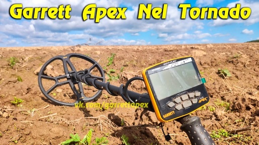 Garrett Apex и катушка Nel Tornado, реальный поиск и находки