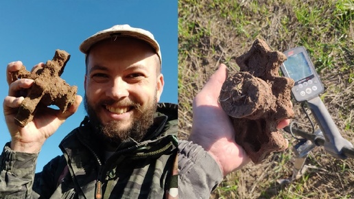 Собираю металл в поле с металлоискателем Minelab Equinox 800