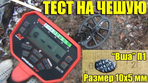 ТЕСТ НА МЕЛКУЮ ЧЕШУЮ (Вша П1) Minelab Vanquish, Nokta Simplex, XP ORX, Garrett, X-Terra 505, Equinox