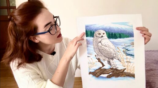 8/24 Dimensions 3861 The stately snowy owl. Готовая работа