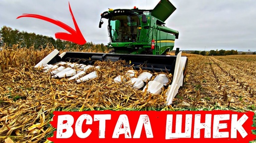 Download Video: УБИРАЕМ МЁРТВУЮ КУКУРУЗУ! Комбайн Заглох…