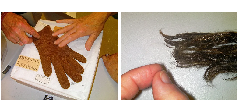 Слева: перчатки из морского шелка (1800-е гг.). Справа: волокна биссуса.