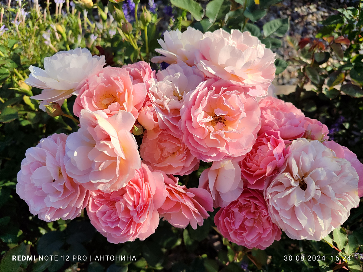 Каоликазали.