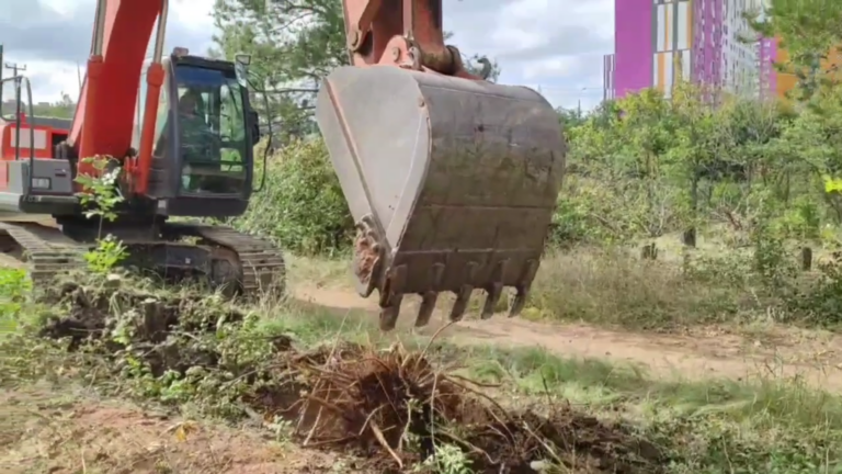    В 16-м микрорайоне Оренбурга начались подготовительные работы на месте будущего парка Кристина Просвиркина