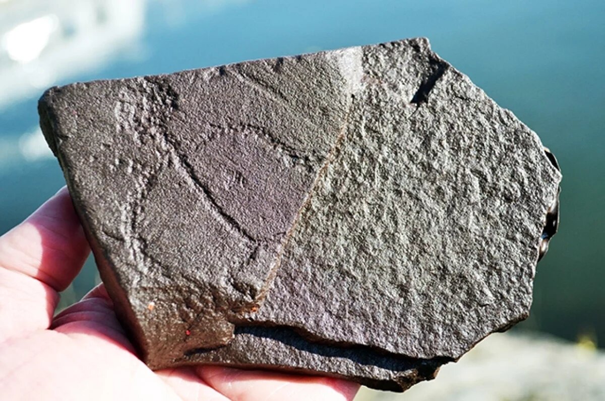    Музей «Томская Писаница» на юбилее Томска представит свои экспозиции