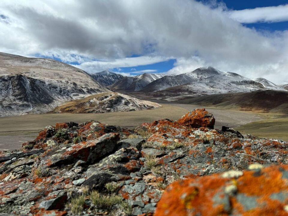    Сайлюгемский нацпарк. Источник: vk.com/parkaltai