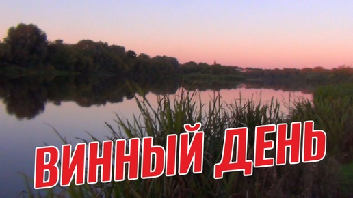 Download Video: ВИННЫЙ ДЕНЬ