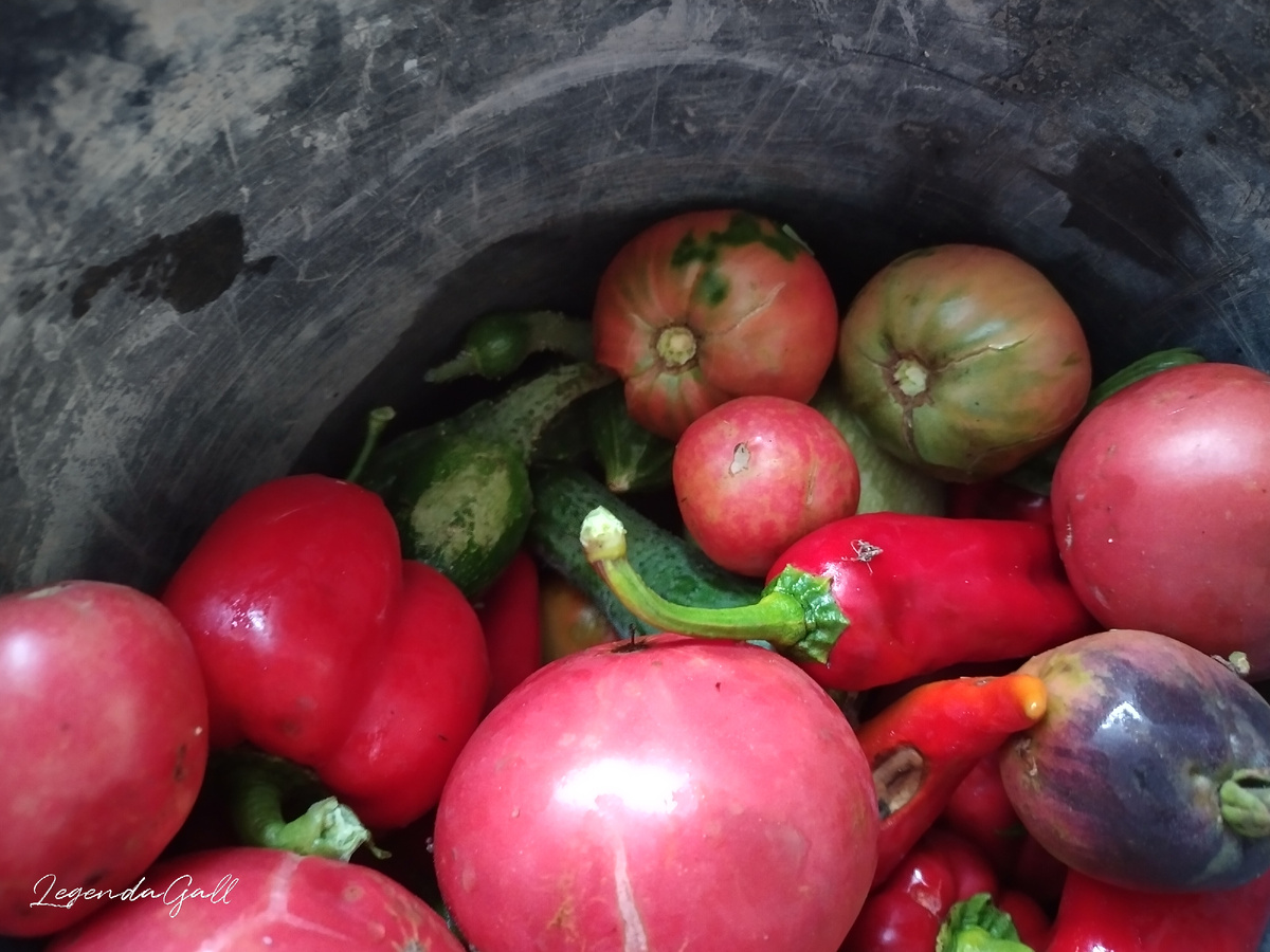 И огурчики на донышке