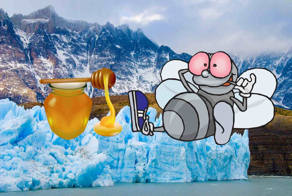 Нет расплода осенью 2024