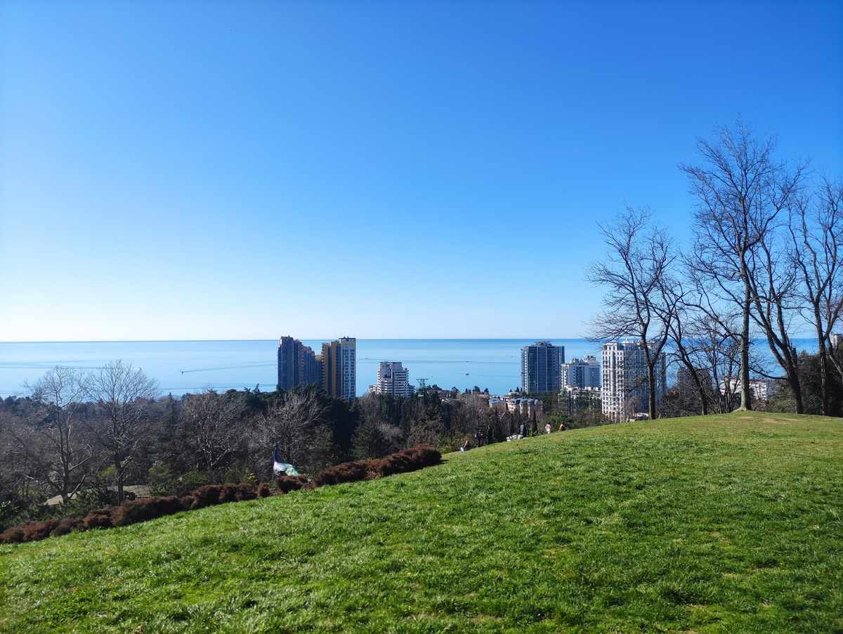 Дендрарий Сочи